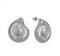 Seashell Earrings Summer Jewelry